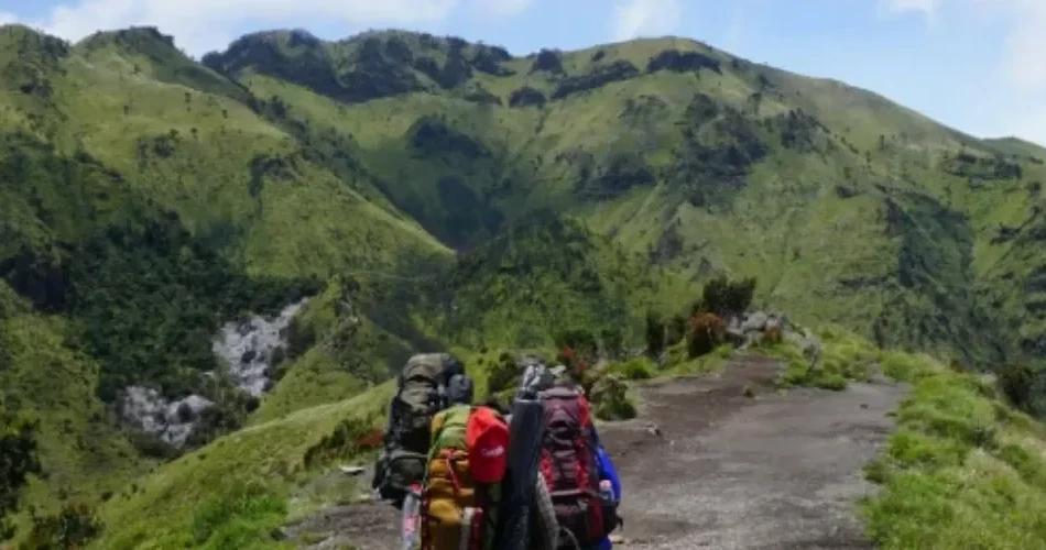 Best Hiking Trails & Scenic Spots in San Francisco