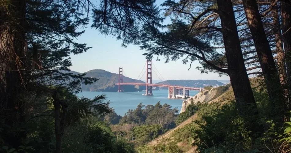 Best Hiking Trails & Scenic Spots in San Francisco