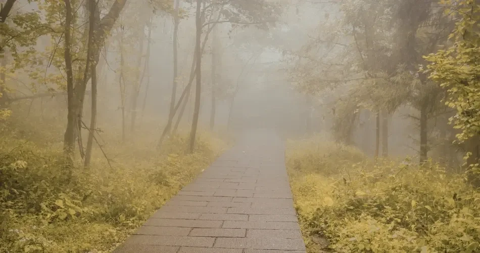 Best Hiking Trails & Scenic Spots in San Francisco
