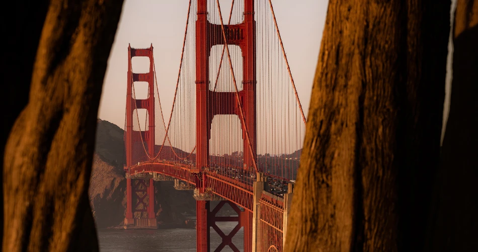 Complete San Francisco Travel Guide: Famous Sights, Local Culture & Secret Spots